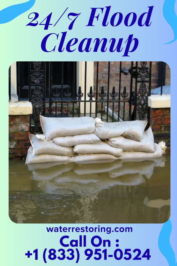 24/7 Flood Cleanup in Longport, NJ