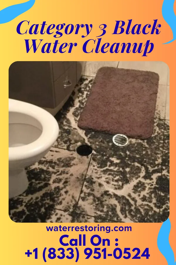 Category 3 Black Water Cleanup in Longport, NJ