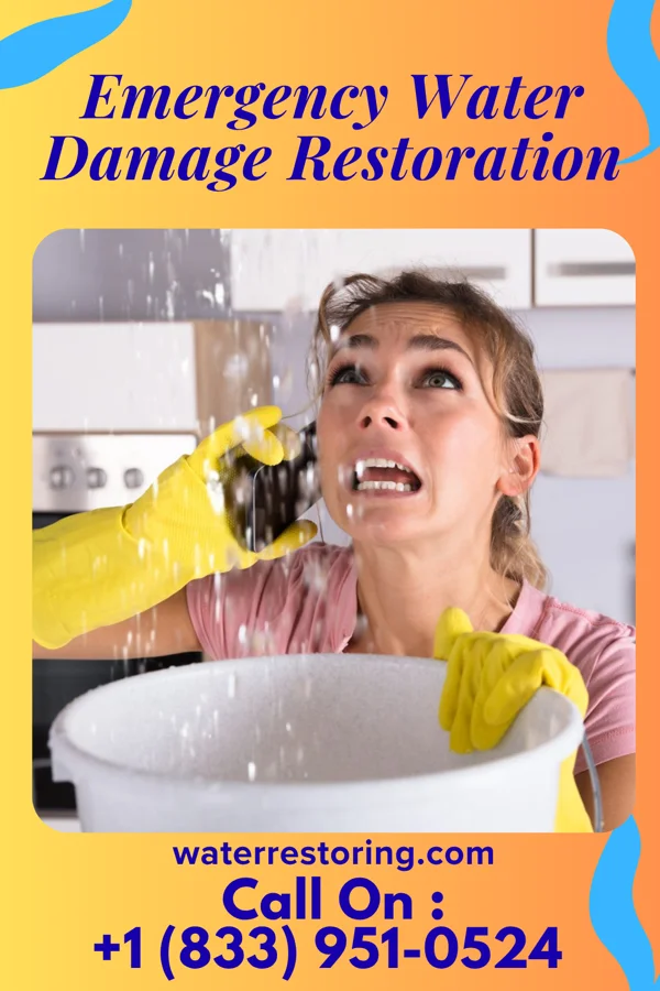 Emergency Water Damage Restoration in Longport, NJ