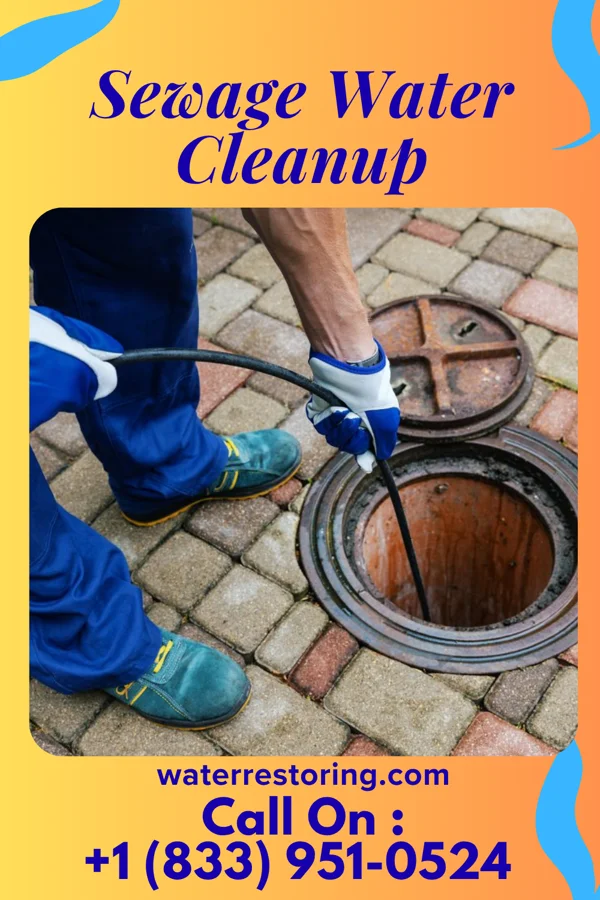 Sewage Water Cleanup in Longport, NJ