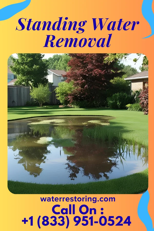 Standing Water Removal in Longport, NJ
